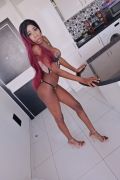 Belgian escort Yolanda, Ayia Napa. Phone number: 35799221677